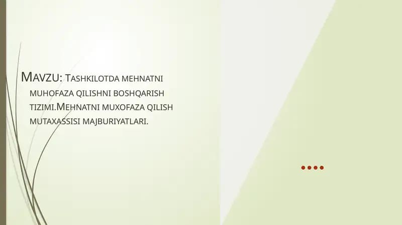 Mehnatni muhofaza qilishni boshqarish tizimi
