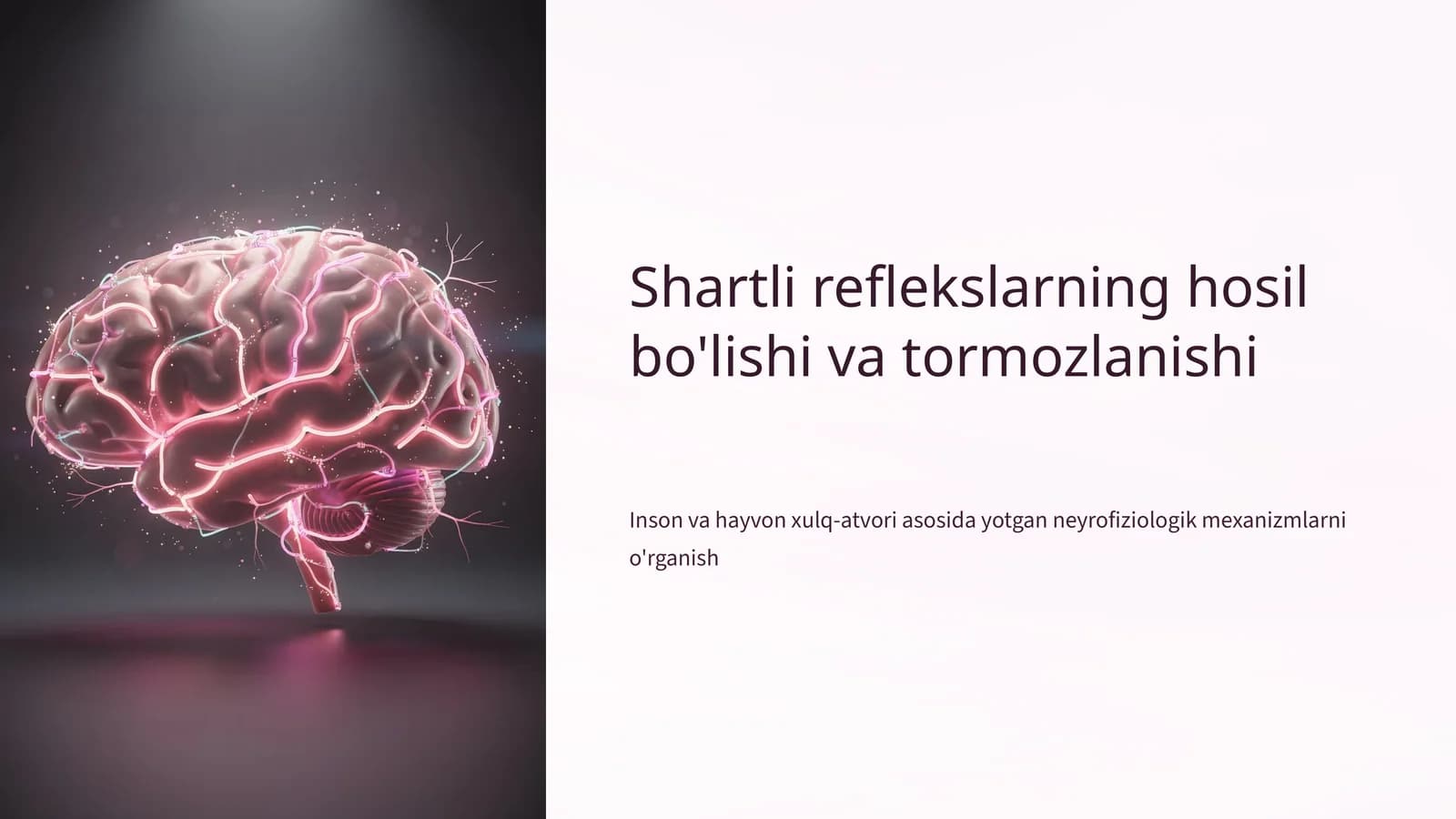 Shartli reflekslarning hosil bo'lishi va tormozlanishi