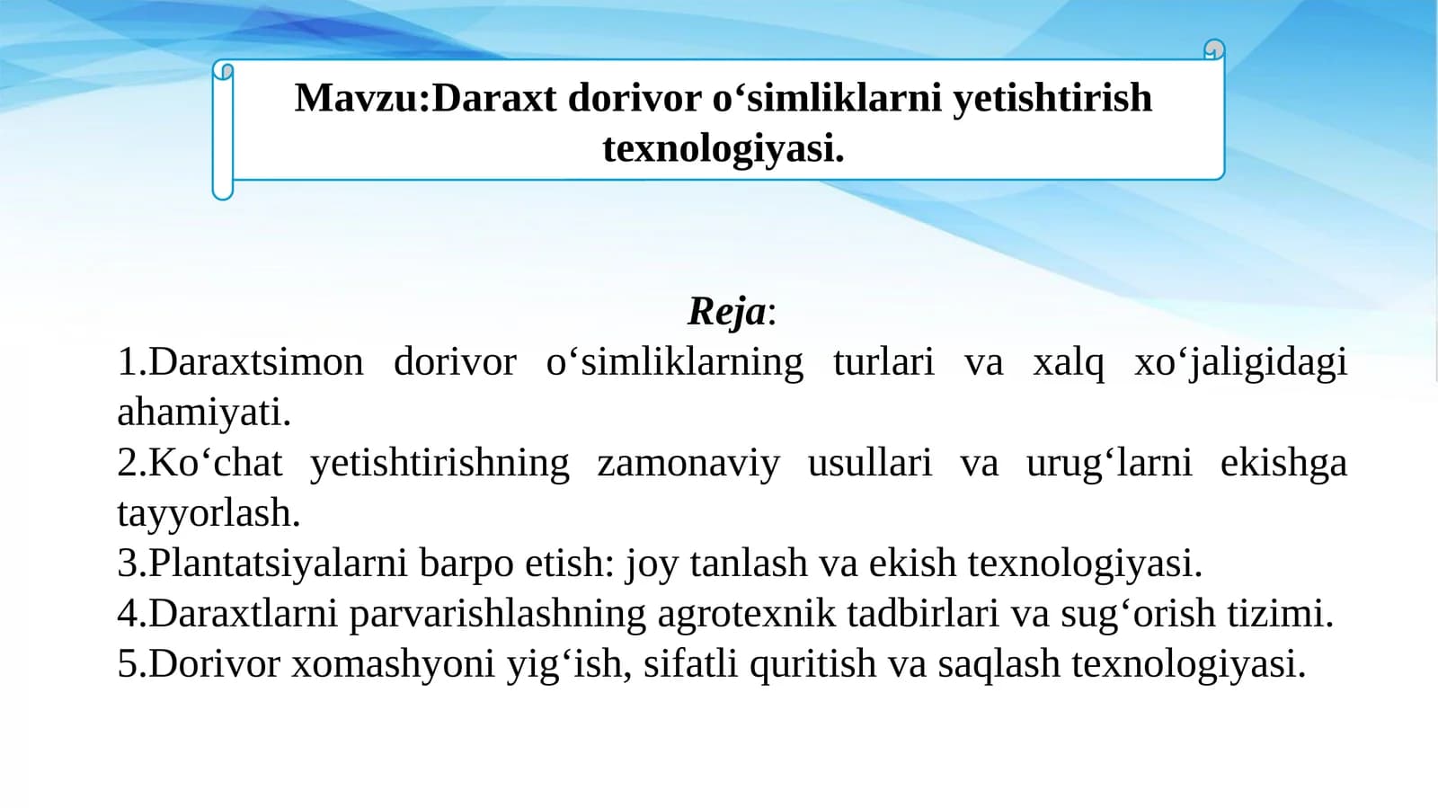 Daraxt dorivor oʻsimliklarni yetishtirish texnologiyasi.
