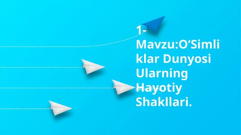 O'Simliklar Dunyosi Ularning Hayotiy Shakllari