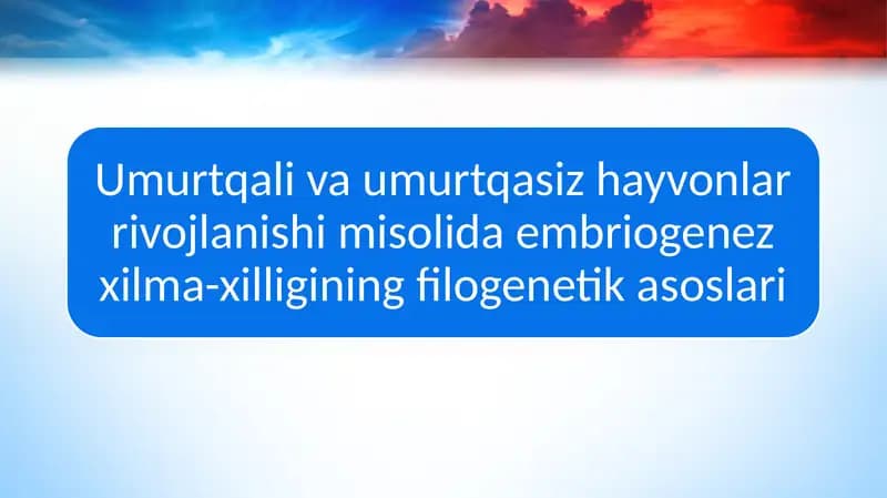 Umurtqali va umurtqasiz hayvonlar rivojlanishi misolida embriogenez xilma-xilligining filogenetik asoslari