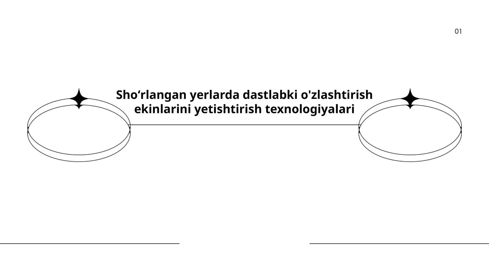 Shoʻrlangan yerlarda dastlabki o'zlashtirish ekinlarini yetishtirish texnologiyalari