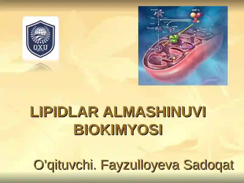 LIPIDLAR ALMASHINUVI BIOKIMYOSI