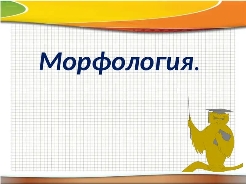 Морфология