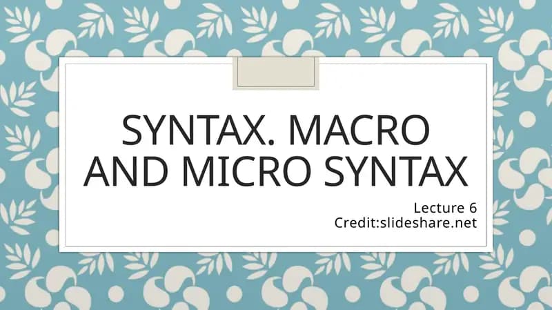 Syntax. Macro and micro syntax