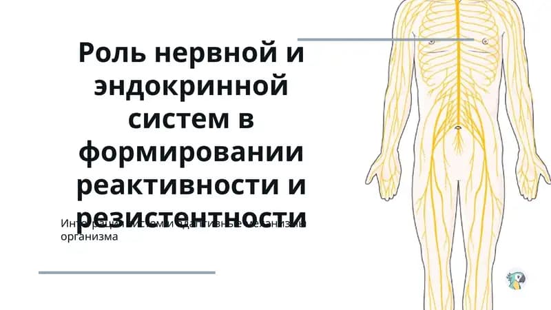 Роль нервной и эндокринной систем в формировании реактивности и резистентности