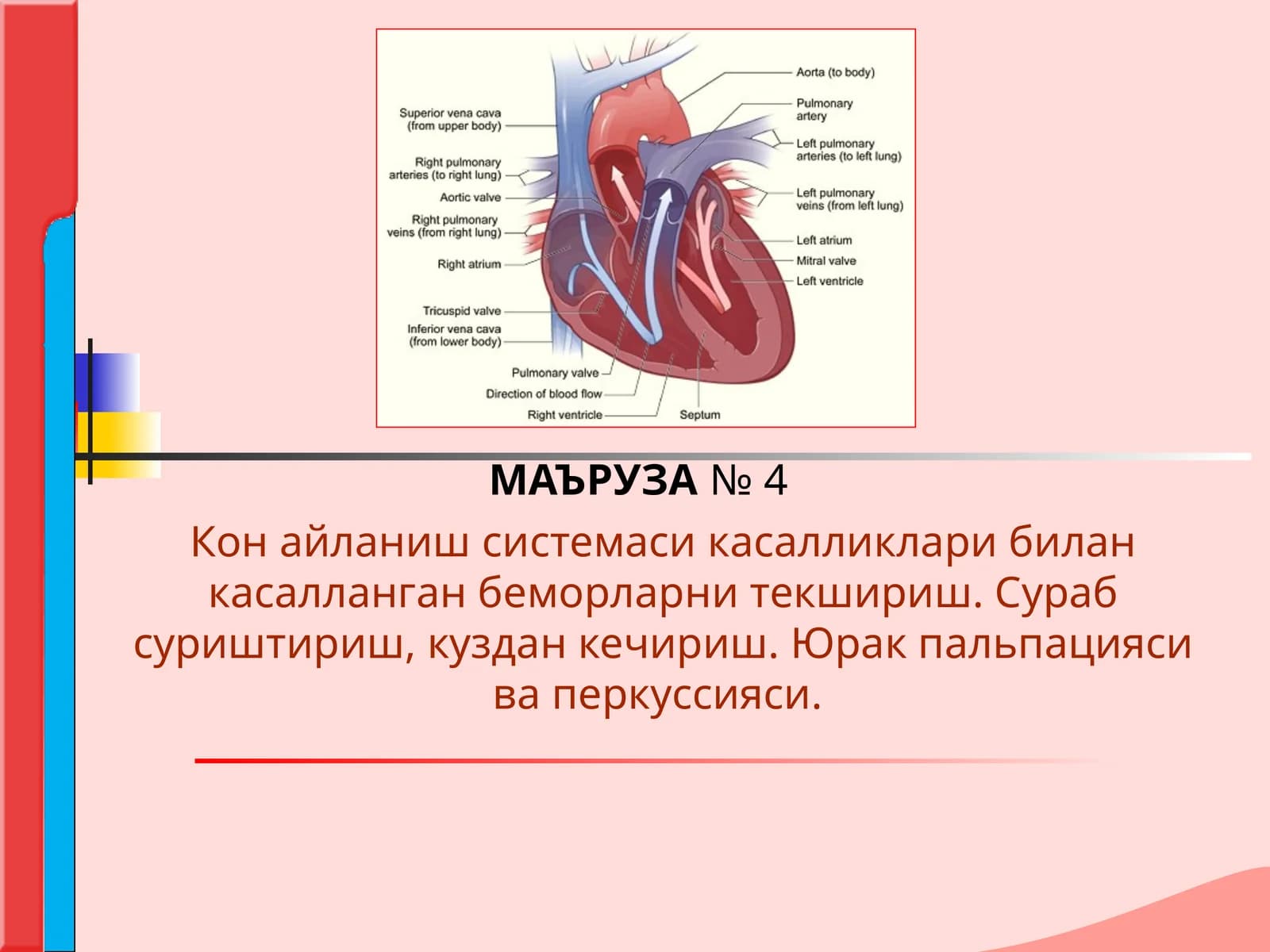 Кон айланиш системаси касалликлари билан касалланган беморларни текшириш. Сураб суриштириш, куздан кечириш. Юрак пальпацияси ва перкуссияси.