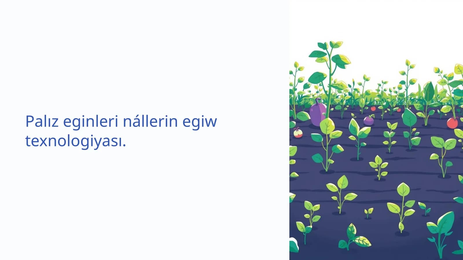 Palız eginleri nállerin egiw texnologiyası