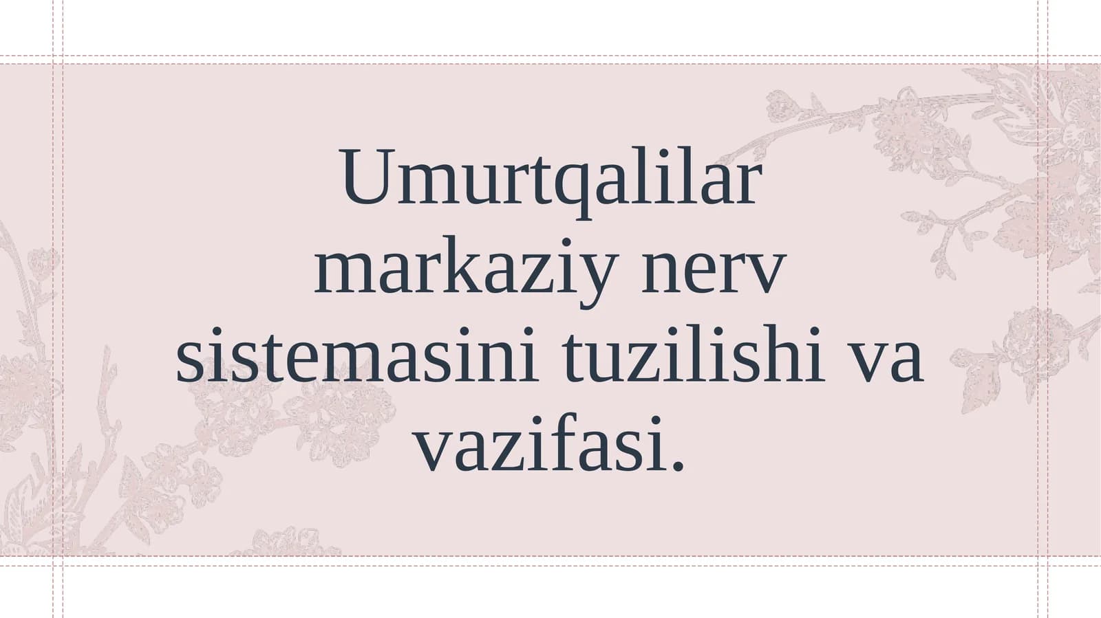 Umurtqalilar markaziy nerv sistemasini tuzilishi va vazifasi.