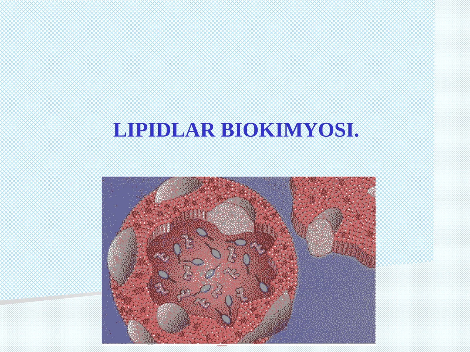 LIPIDLАR BIOKIMYOSI