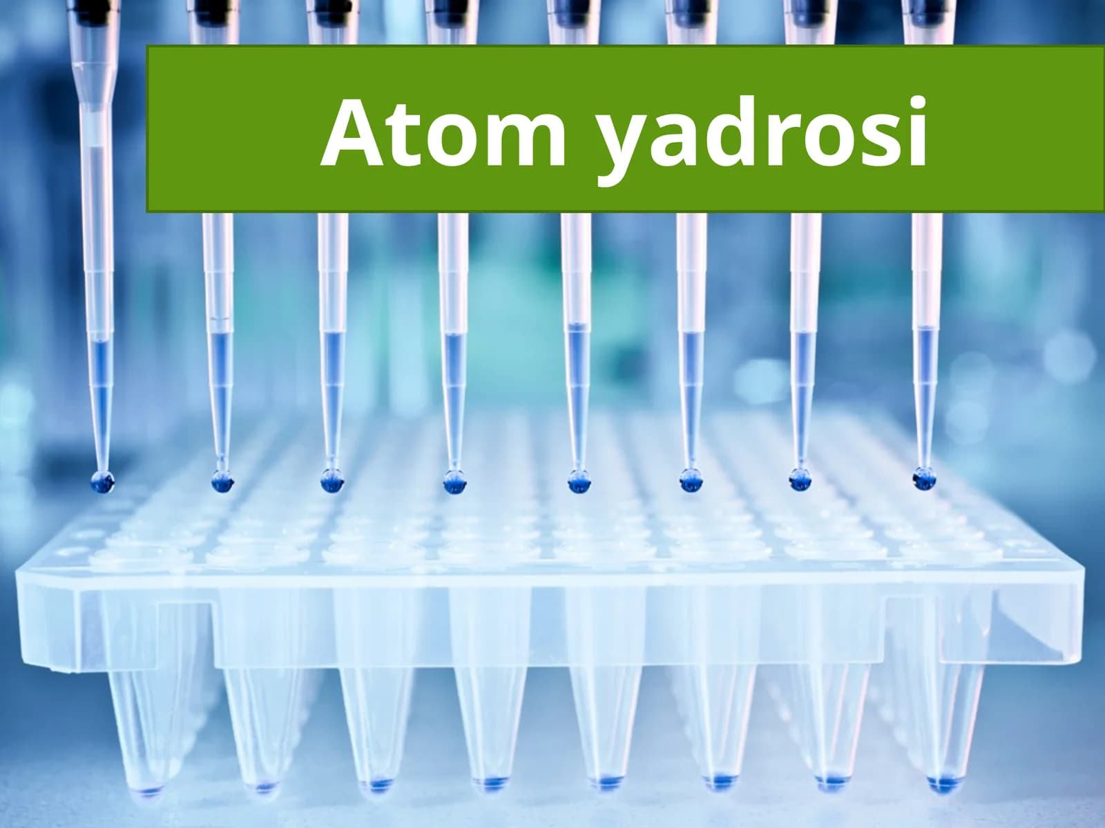Atom yadrosi