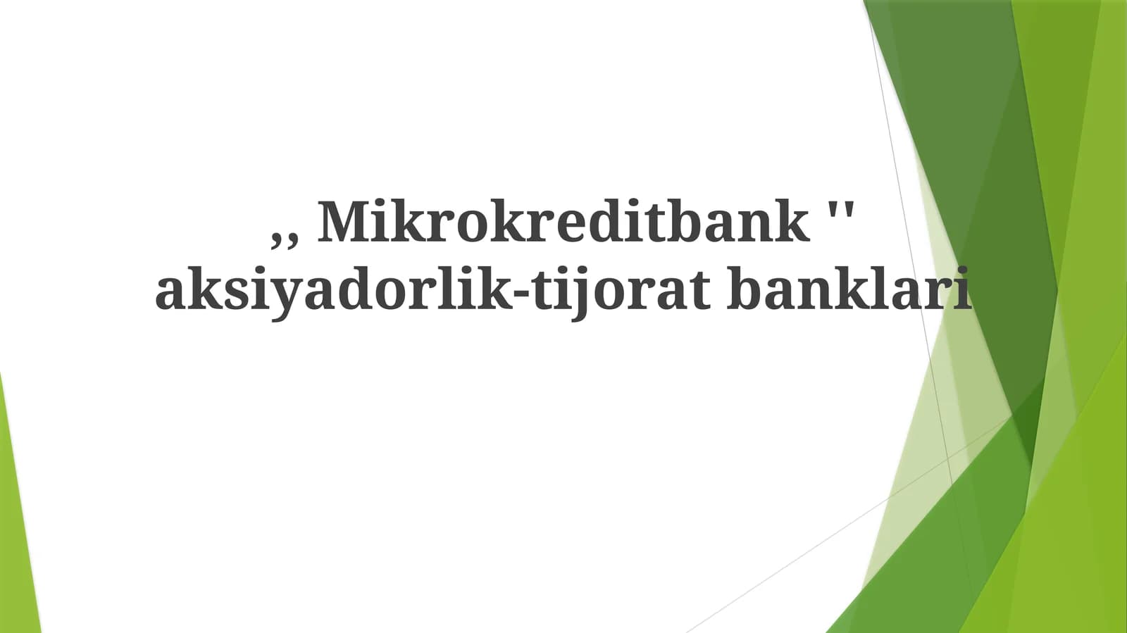 Mikrokredit Bank Model: Tuzilishi va Faoliyati