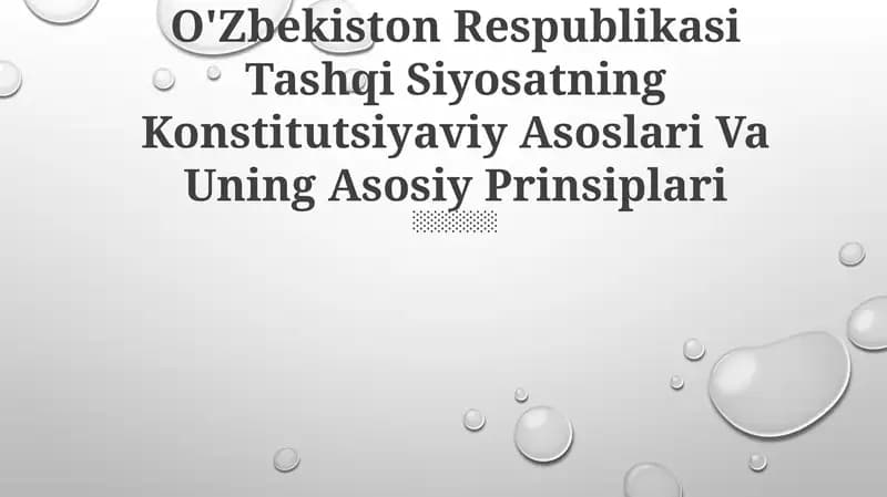 O'Zbekiston Respublikasi Tashqi Siyosatning Konstitutsiyaviy Asoslari Va Uning Asosiy Prinsiplari