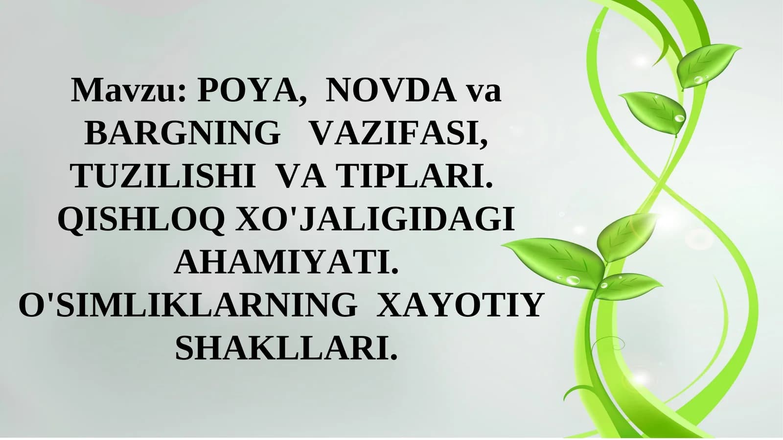 POYA, NOVDA va BARGNING VAZIFASI, TUZILISHI VA TIPLARI