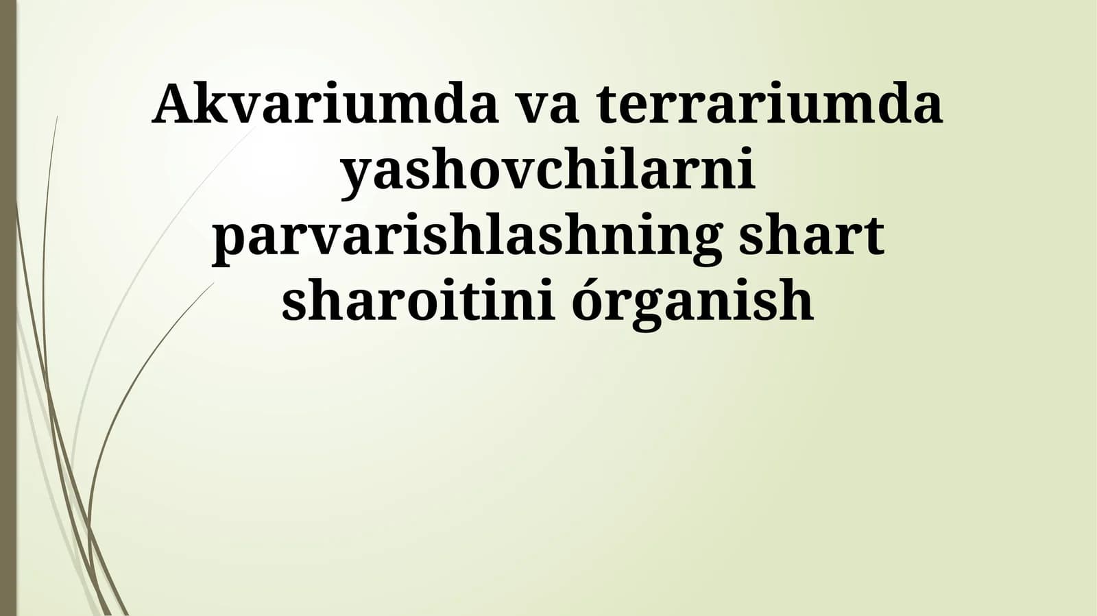 Akvariumda va terrariumda yashovchilarni parvarishlashning shart sharoitini órganish