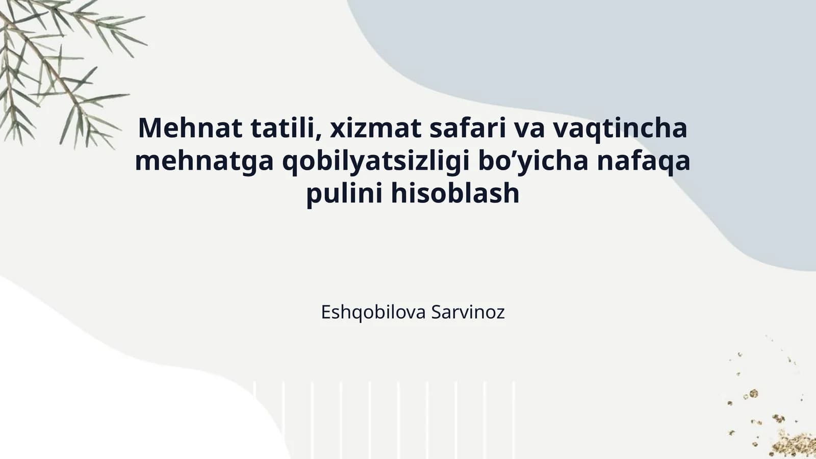 Mehnat tatili, xizmat safari va vaqtincha mehnatga qobilyatsizligi bo’yicha nafaqa pulini hisoblash