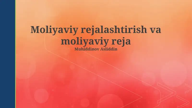 Moliyaviy rejalashtirish va moliyaviy reja
