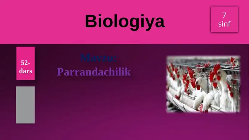Parrandachilik
