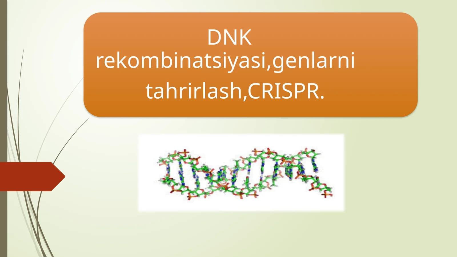 DNK rekombinatsiyasi, genlarni tahrirlash. CRSIPR