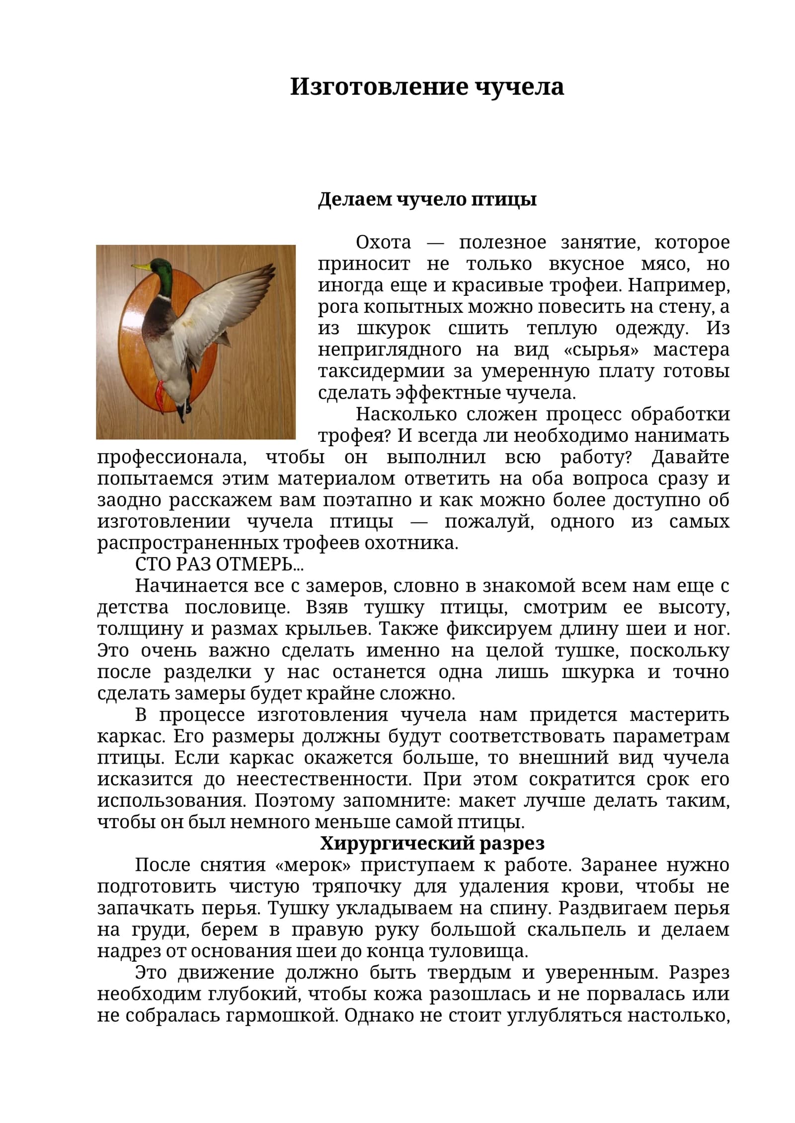 Изготовление чучела