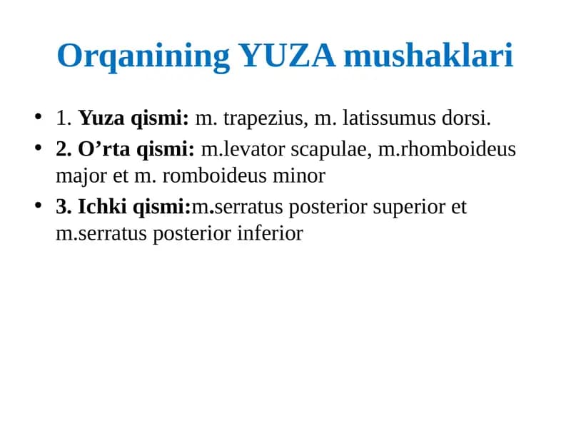 Orqanining YUZA mushaklari