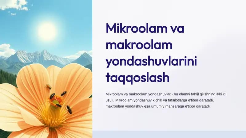 Mikroolam va makroolam yondashuvlarini taqqoslash