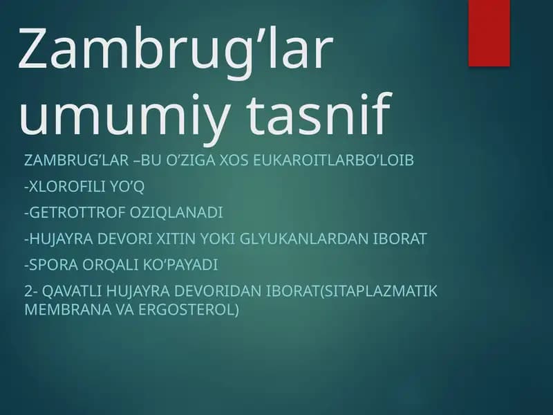 Zambrug’lar umumiy tasnif