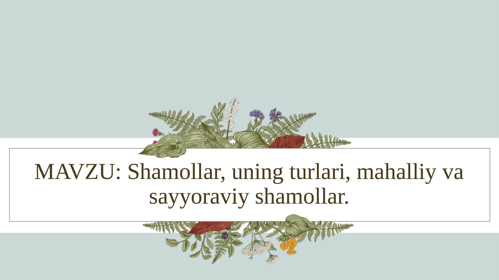 Shamollar, uning turlari, mahalliy va sayyoraviy shamollar