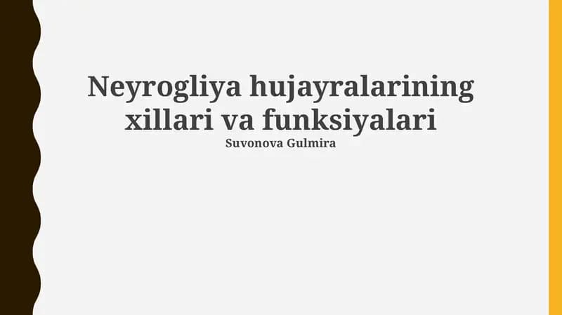 Neyrogliya hujayralarining xillari va funksiyalari