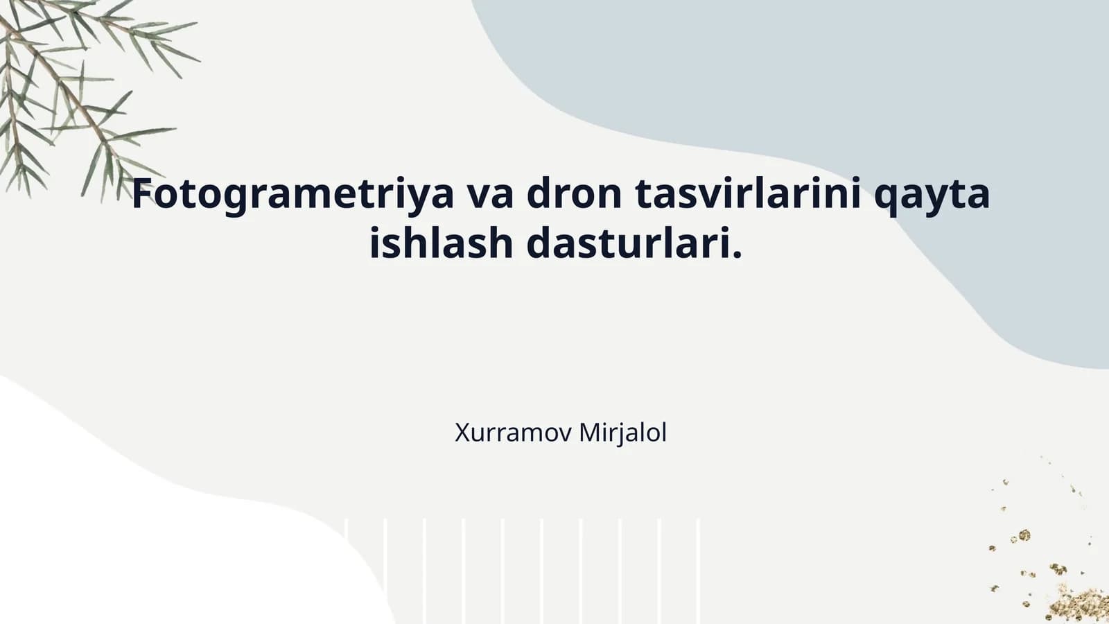 Fotogrametriya va dron tasvirlarini qayta ishlash dasturlari.