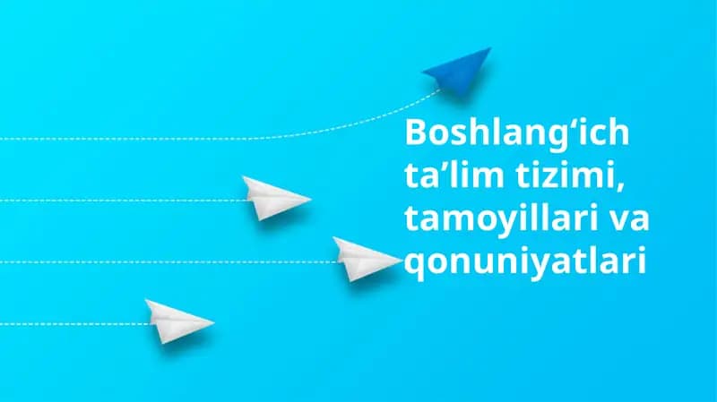 Boshlangʻich taʼlim tizimi, tamoyillari va qonuniyatlari