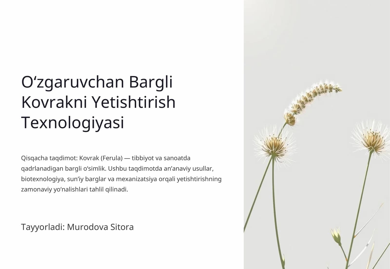 Oʻzgaruvchan Bargli Kovrakni Yetishtirish Texnologiyasi