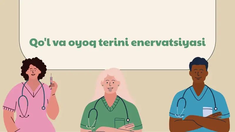 Qo'l va oyoq terini enervatsiyasi