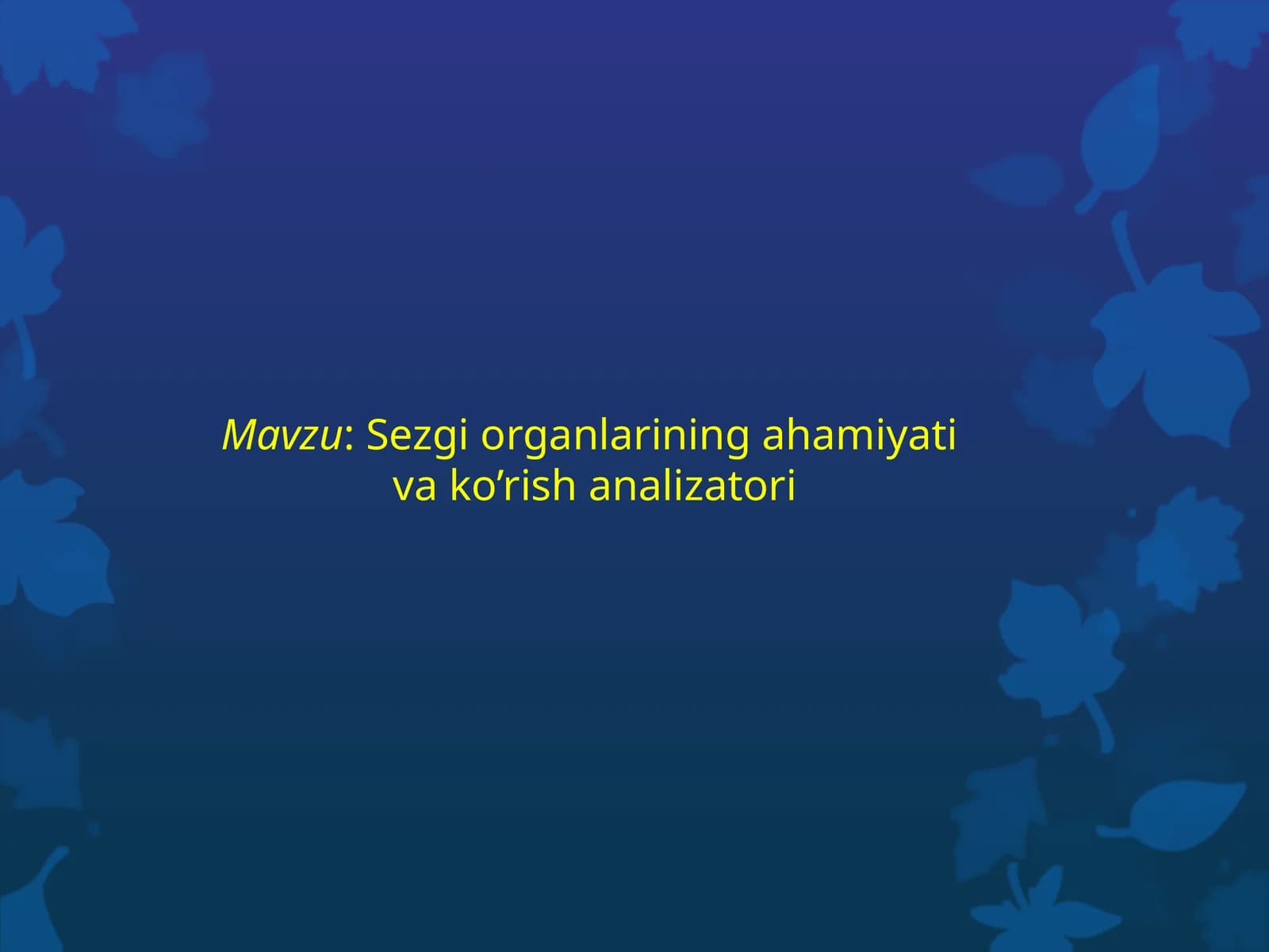 Sezgi organlarining ahamiyati va ko'rish analizatori