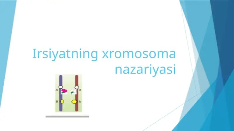 Irsiyatning xromosoma nazariyasi