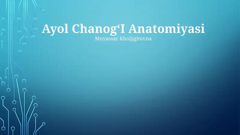 Ayol ChanogʻI Anatomiyasi
