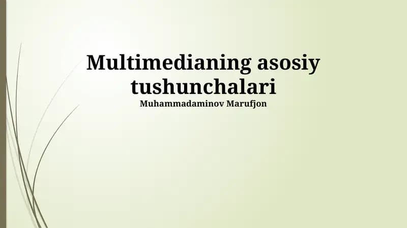 Multimedia formatlari
