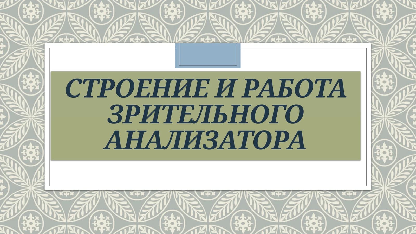 Ziraklar tuzilishi va ishi