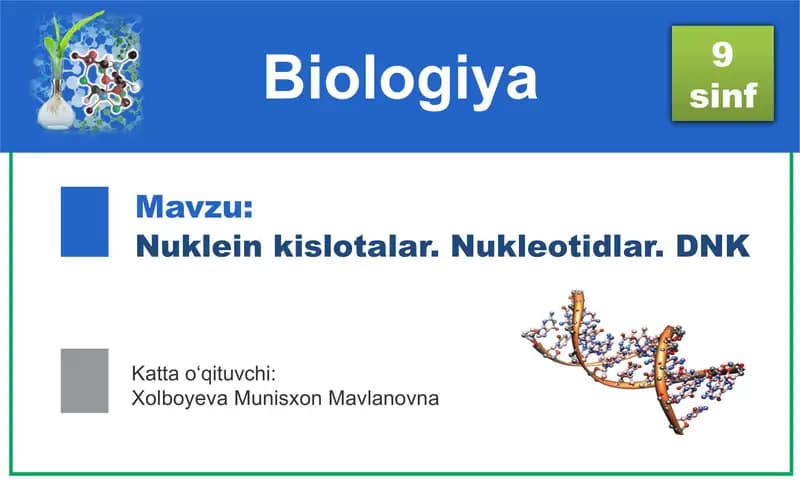 Nuklein kislotalar. Nukleotidlar. DNK