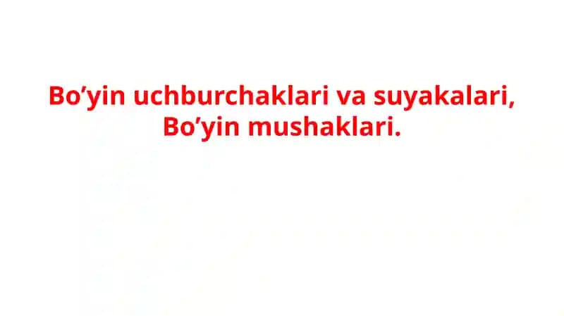 Bo’yin uchburchaklari va suyakalari, Bo’yin mushaklari.