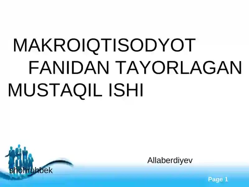 MAKROIQTISODYOT FANIDAN TAYORLAGAN MUSTAQIL ISHI