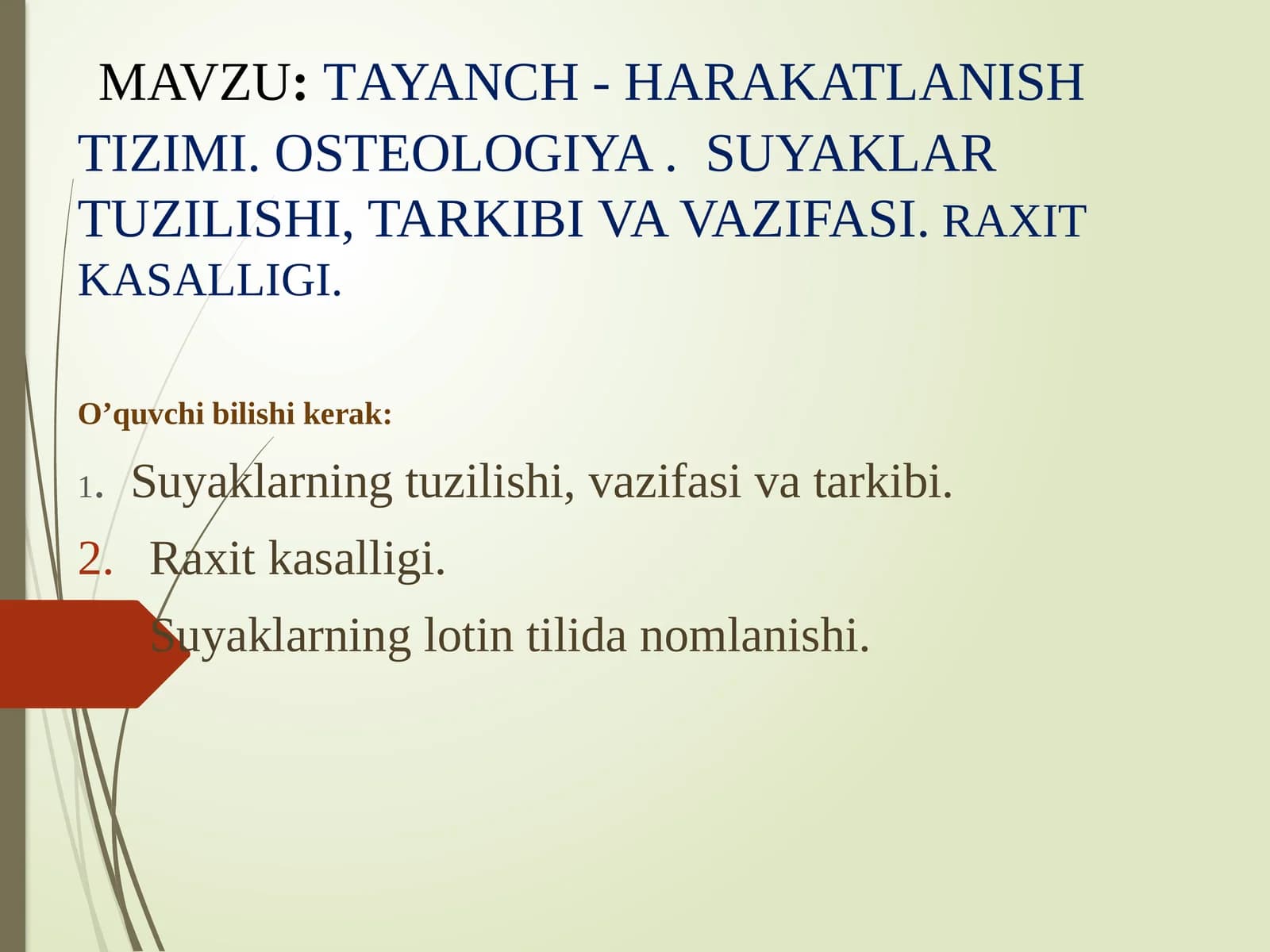 Tayanch-harakatlanishtizimi