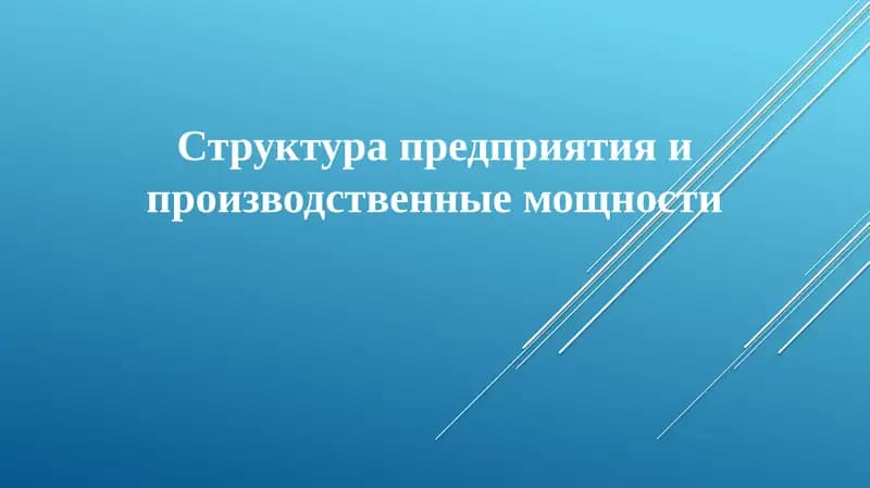 Организационная структура предприятия