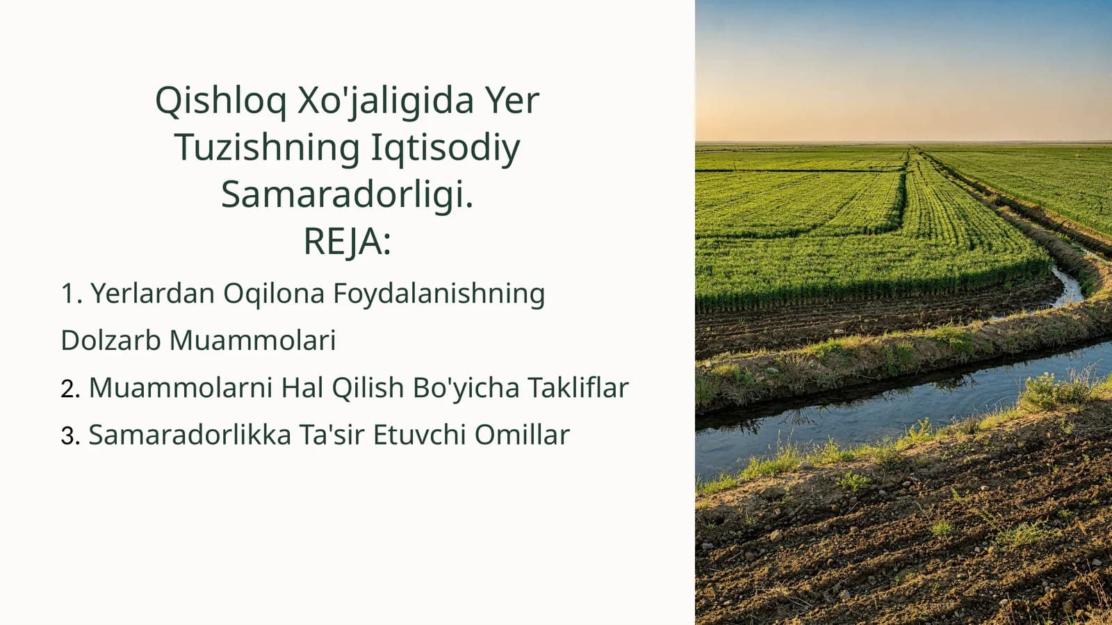 Qishloq Xo'jaligida Yer Tuzishning Iqtisodiy Samaradorligi