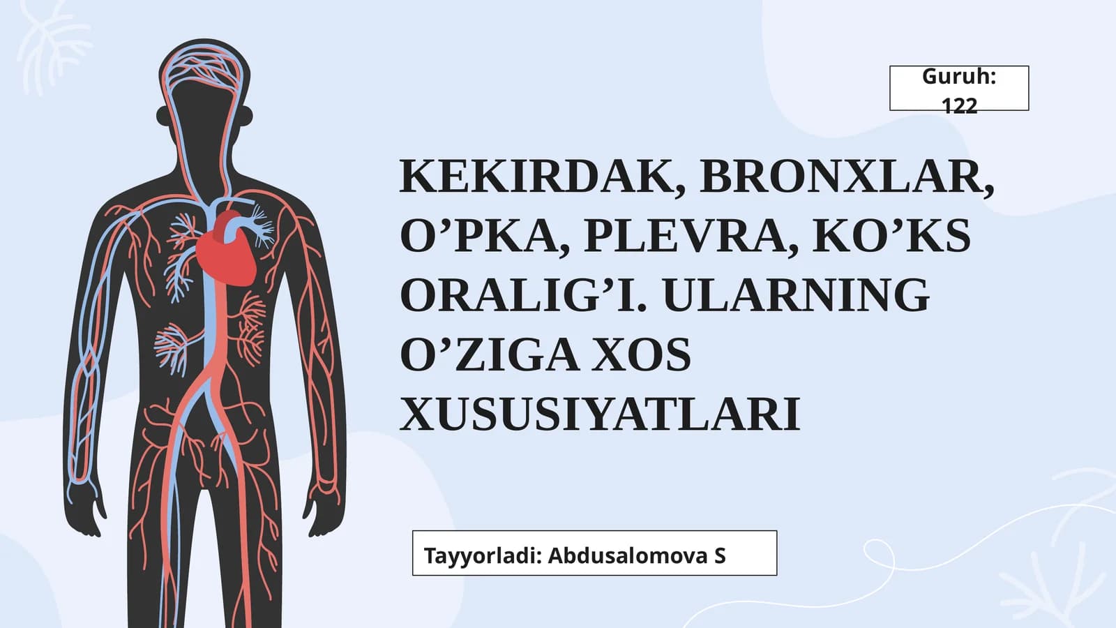 Kekirdak, Bronxlar, O’pka, Plevra, Ko’ks oralig’i