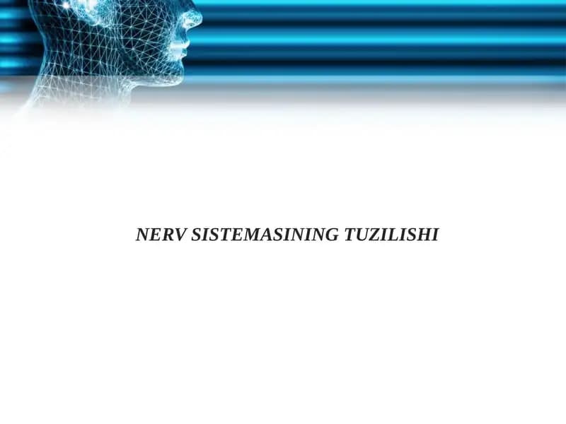 NERV SISTEMASINING TUZILISHI