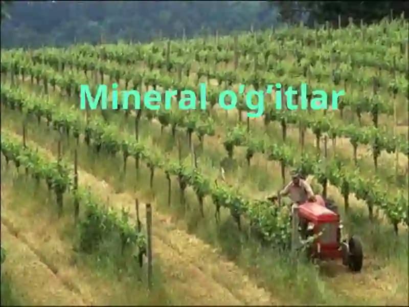 Mineral o’g’itlar
