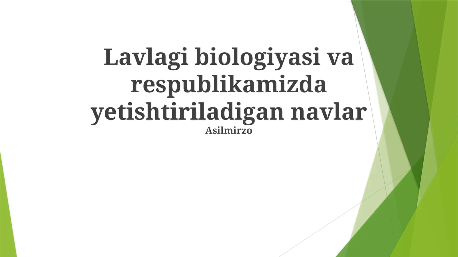 Lavlagi biologiyasi va respublikamizda yetishtiriladigan navlar
