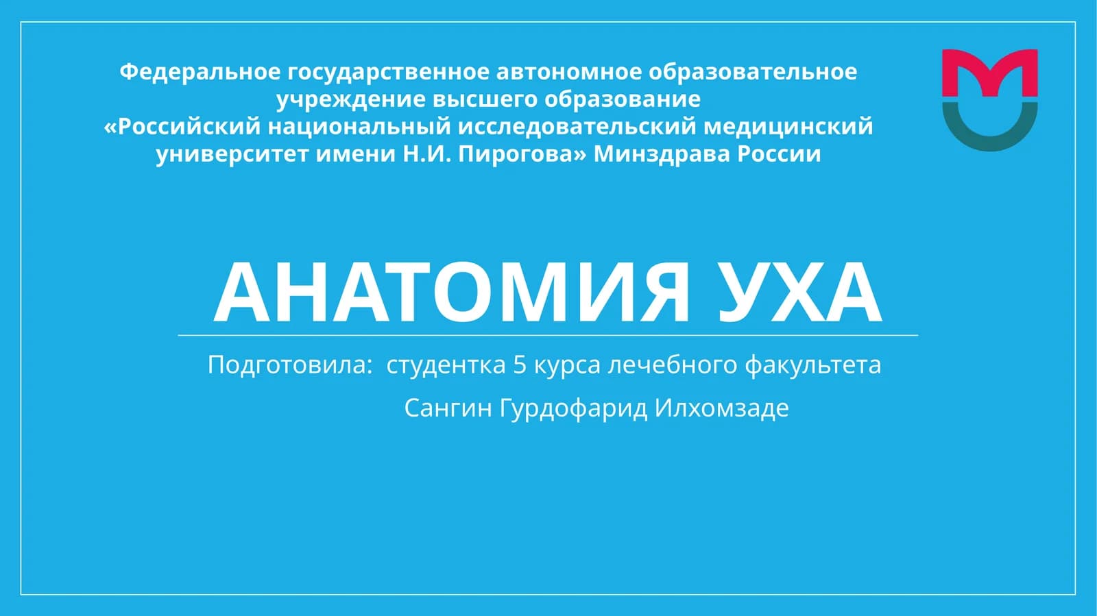Анатомия уха
