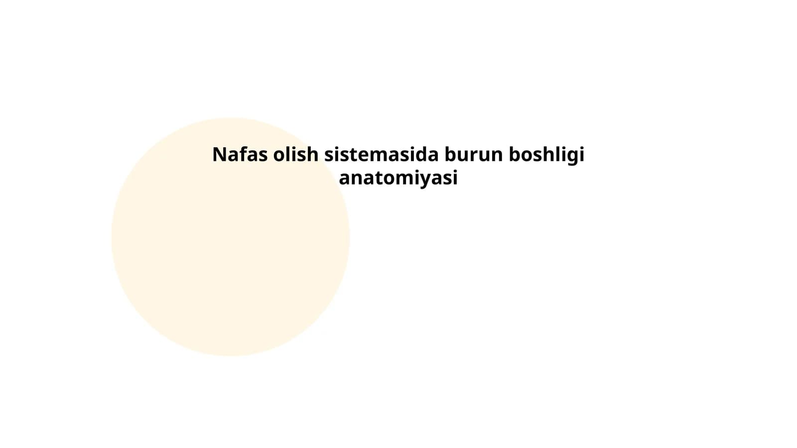 Nafas olish sistemasida burun boshligi anatomiyasi